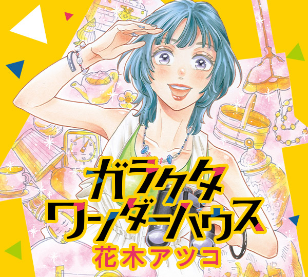 ガラクタワンダーハウス